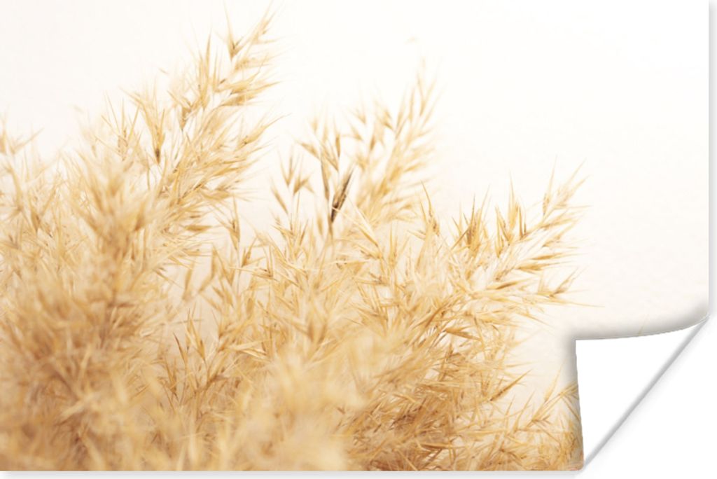 MuchoWow Poster Weizen - Natur - Sonne 120x80 cm - Bilder