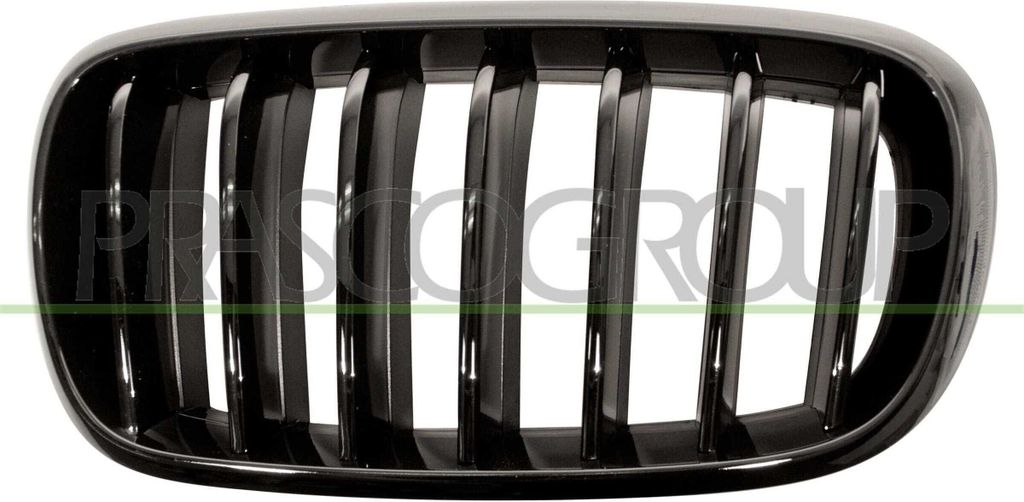 PRASCO BM8272004 - OE 51712334710 Kühlergrill, links für X5 (F15, F85)