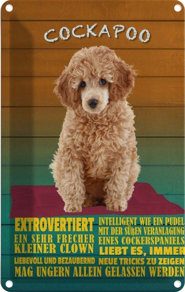 vianmo Blechschild 18x12 cm Cockapoo Hund kleiner Clown Tier Haustier
