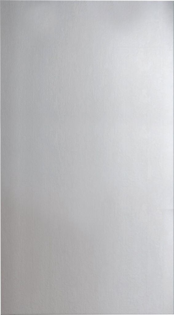 FACKELMANN Spiegel / Wandspiegelelement mit Befestigung / Maße (B x H x T): ca. 50 x 100 x 2 cm / hochwertiger, moderner Badspiegel / hoch und que...