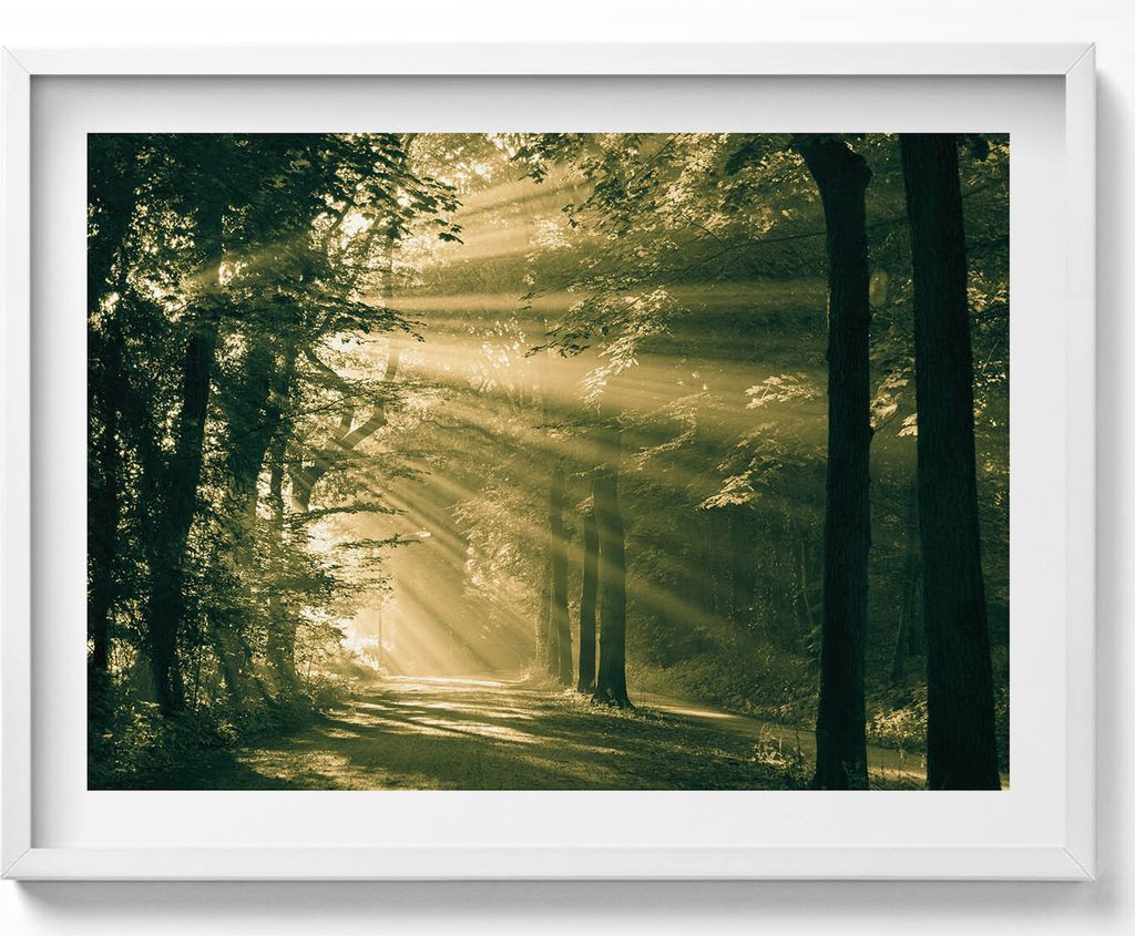 Sonnenschein im Wald– Wandbild mit Rahmen – Gerahmtes Bild – Wanddekoration – 80x60 cm – Weiß Rahmen