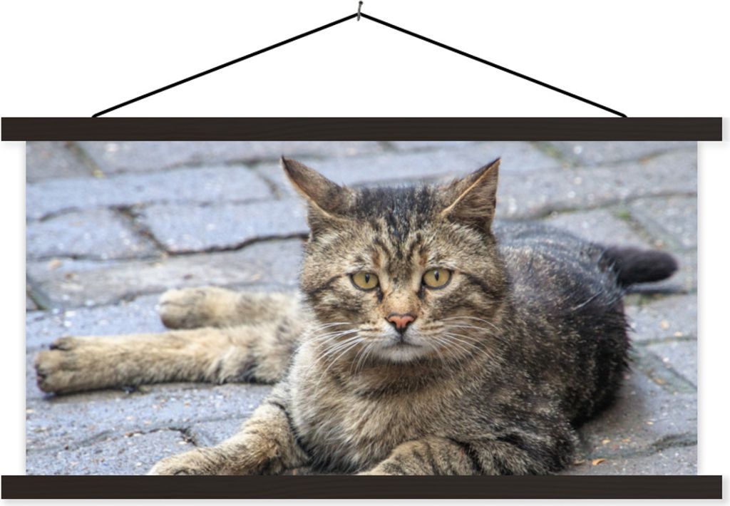 MuchoWow Textilposter Katze - Tier - Braun - Mädchen - Kinder - Jungen - Kind 120x60 cm mit schwarzem Rahmen - Dekoration Schlafzimmer