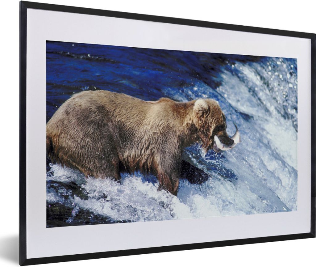 MuchoWow MuchoWow Gerahmtes Poster Bär - Fisch - Wasserfall 60x40 cm - Poster mit zchwarzem Bilderrahmen - Schlafzimmer - Plakat in Rahmen - D...