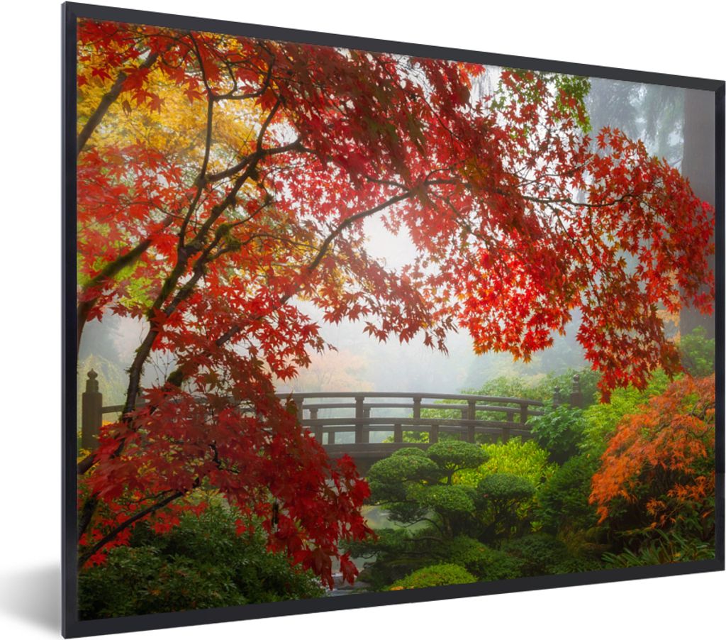 MuchoWow Gerahmtes Poster Japanischer Ahorn - Bäume - Brücke - Natur - Japanisch 80x60 cm - Poster mit Schwarzem Bilderrahmen Wandposter Rahmen...