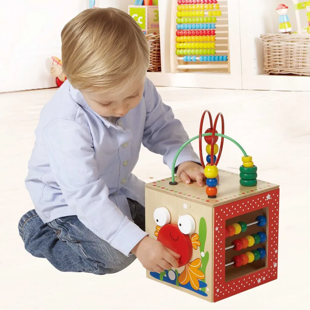 Hape E1802 Totally Amazing Boîte d'Éveil en Bois pour Bébé et Enfant - 2