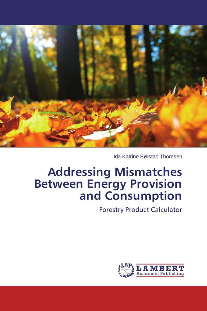 Addressing Mismatches Between Energy Provision and Consumption