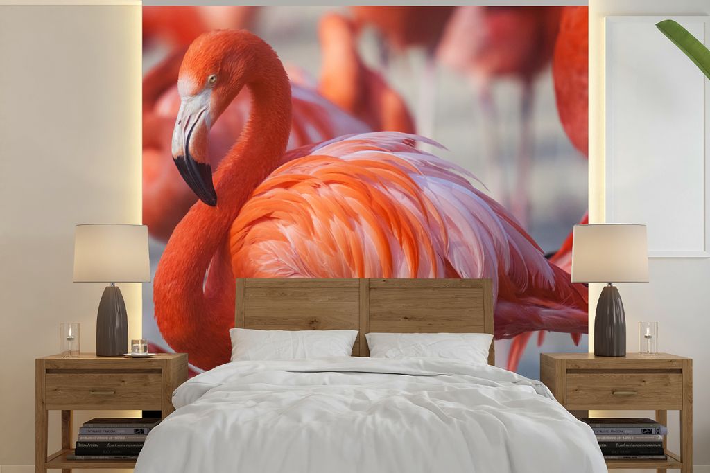 MuchoWow Fototapete für Wohnzimmer oder Schlafzimmer Wandtapete Vinyl Motivtapete Flamingo - Vogel - Tiere - Rosa - 280x280 cm - Hintergrundbild