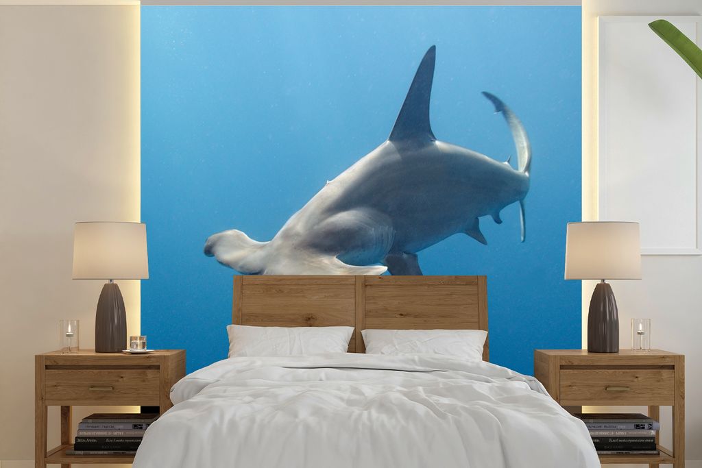 MuchoWow Fototapete für Wohnzimmer oder Schlafzimmer Wandtapete Vinyl Motivtapete Hammerkopf - 260x260 cm - Papiertapeten