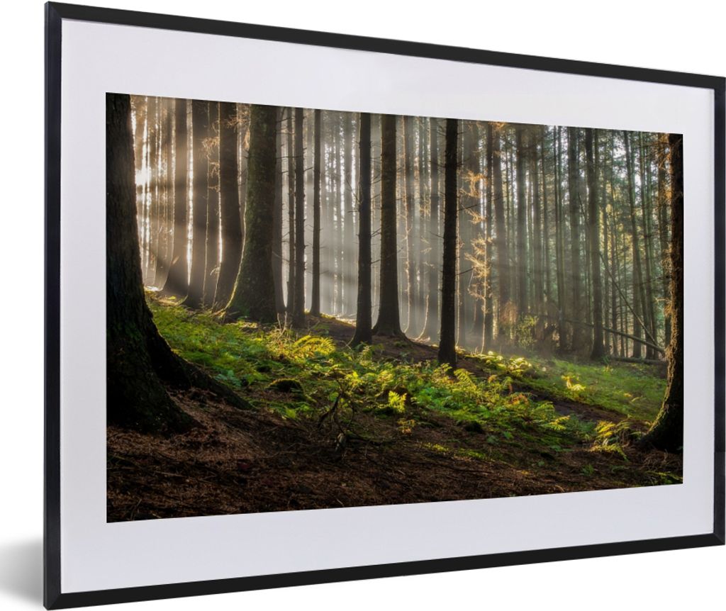 MuchoWow Gerahmtes Poster Sonne - Äste - Bäume - Wald - Natur 60x40 cm - Poster mit Schwarzem Bilderrahmen Wandposter Rahmen Foto Bilder - Schl...
