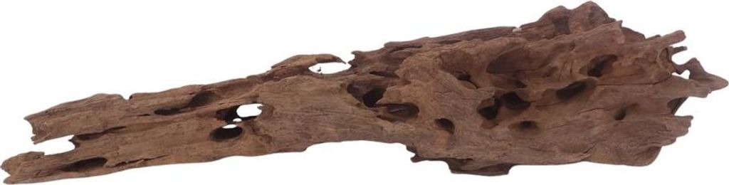 L Honey Comb Wurzel Nr.3032 Holz Deko Aquascaping