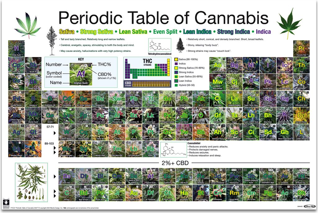 Poster Periodic Table of Cannabis 91.5x61cm. Zdjęcie produktu 