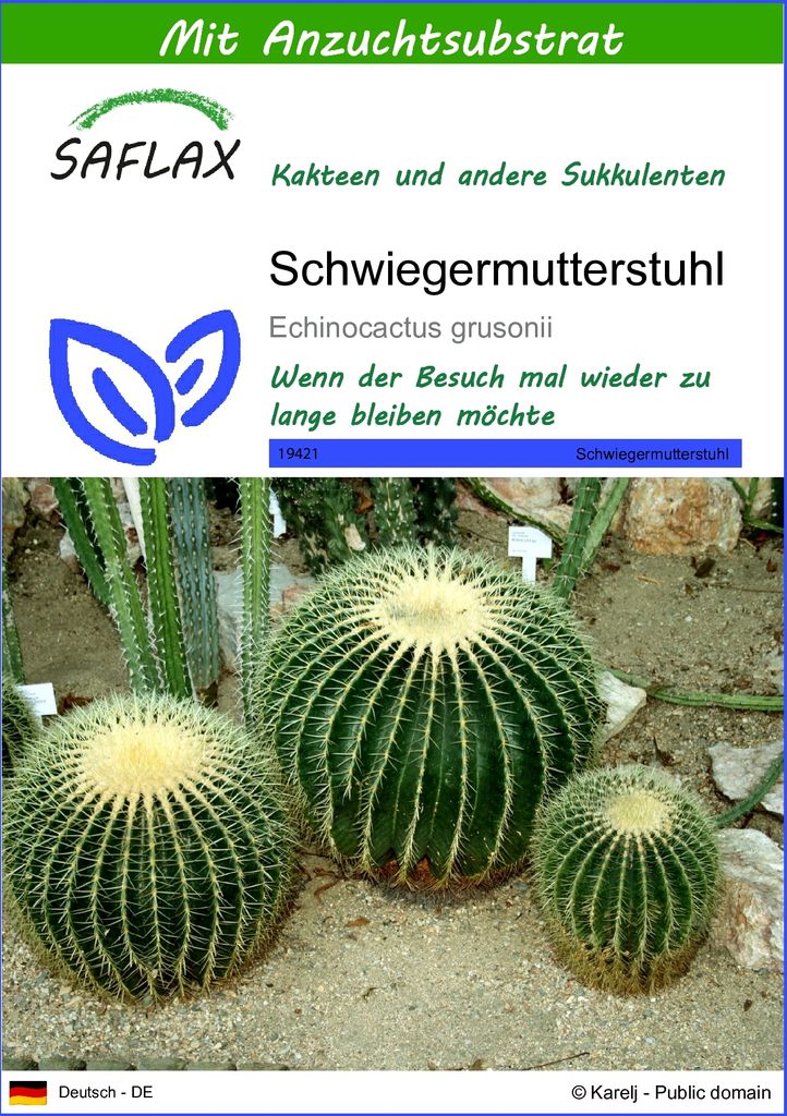 SAFLAX - Kakteen - Schwiegermutterstuhl - 40 Samen - Mit keimfreiem Anzuchtsubstrat - Echinocactus grusonii