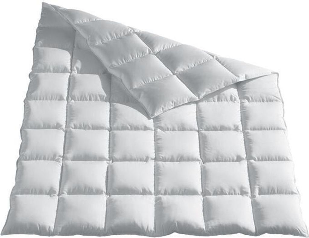Häussling Daunendecke Moschus royal medium Größe 155x200 cm Ganzjahresdecke silbergrau