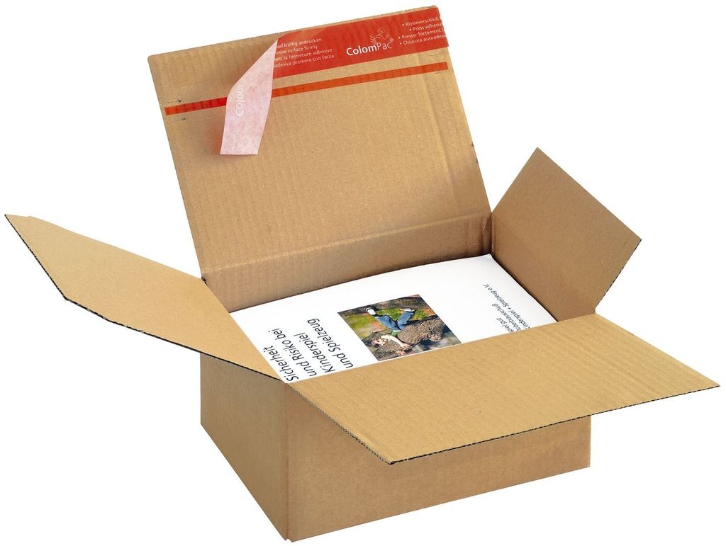 Blitzbodenkarton - 218x163x119mm sk. Packung mit 10 Stück