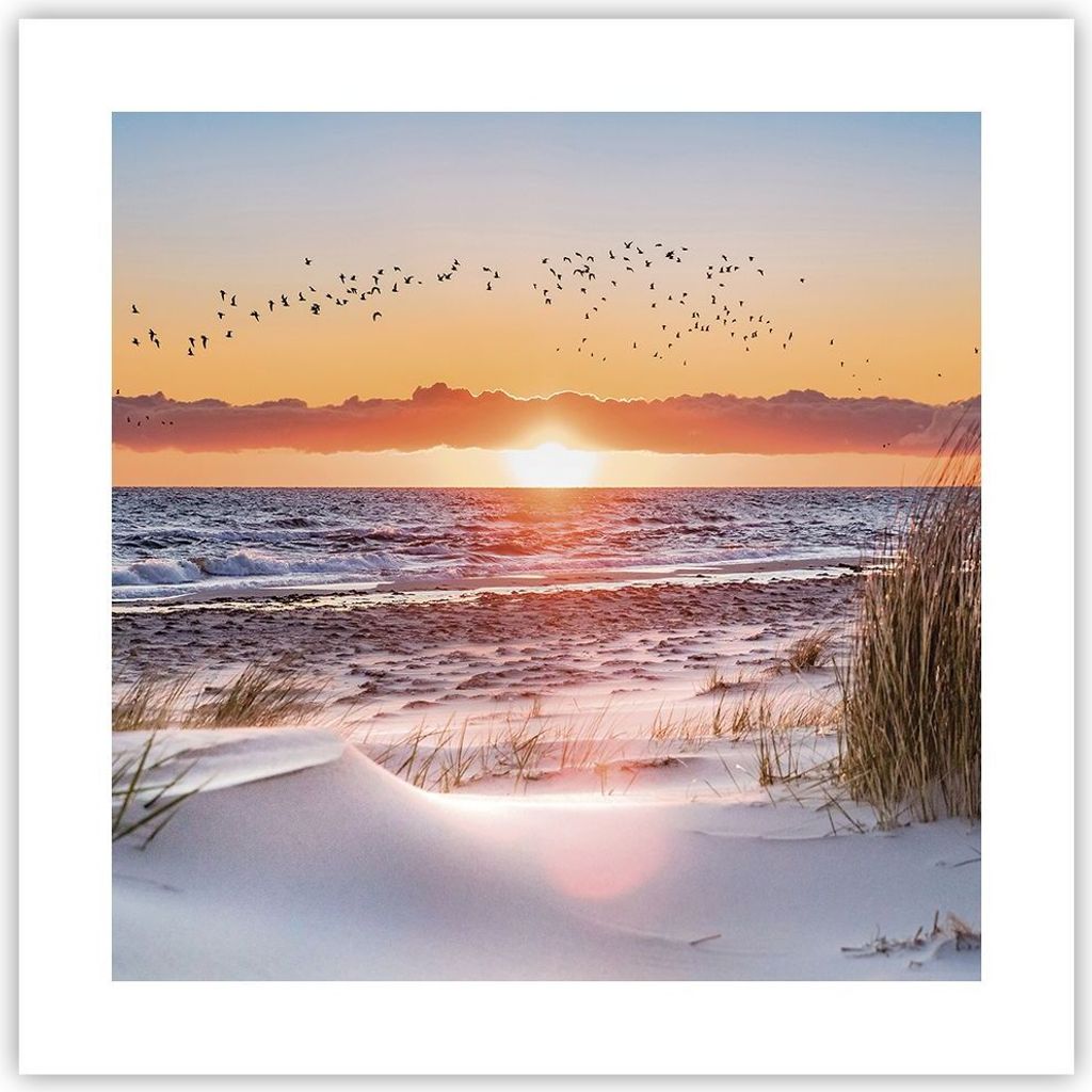 Poster - Poster ohne Rahmen - Sonne Strand Vögel - 40x40 cm - Wand Bild - Wanddeko - Wandbilder - Kunstposter - Wandposter - Bilder - Kunstdruck -...