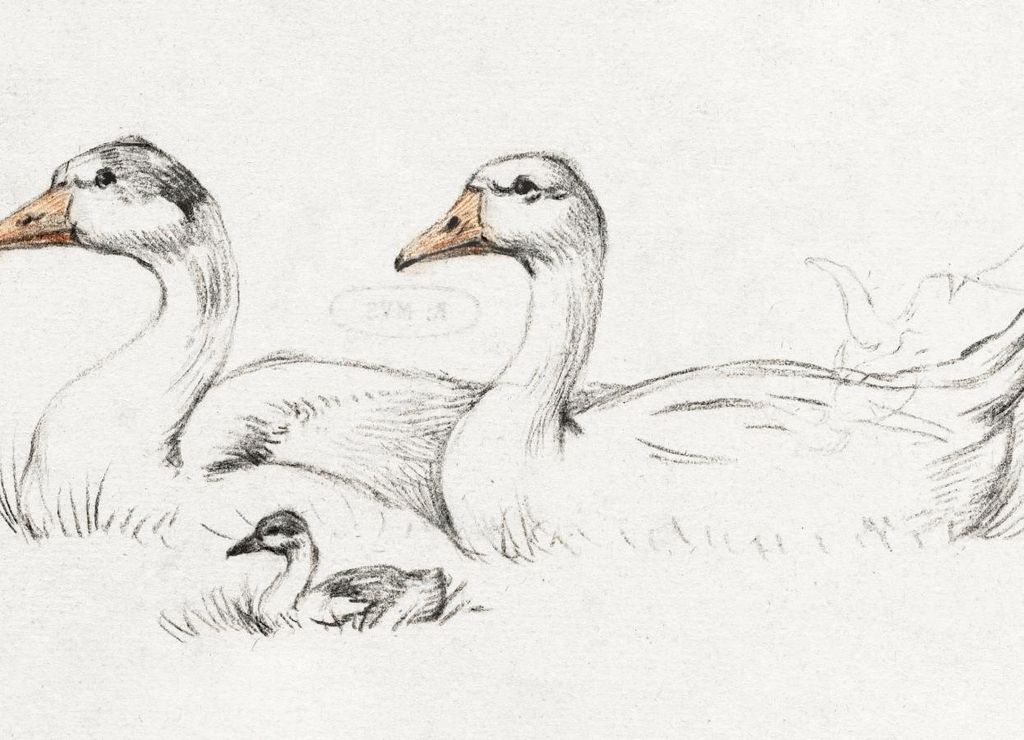 Poster 18x13cm Zwei Gänse und Junge, Jean Bernard Vintage für das Wohnzimmer