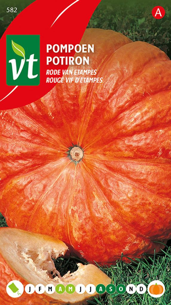 Zucca rossa di Etampes semi - Circa 2 gr | VT_582 Immagine del prodotto 