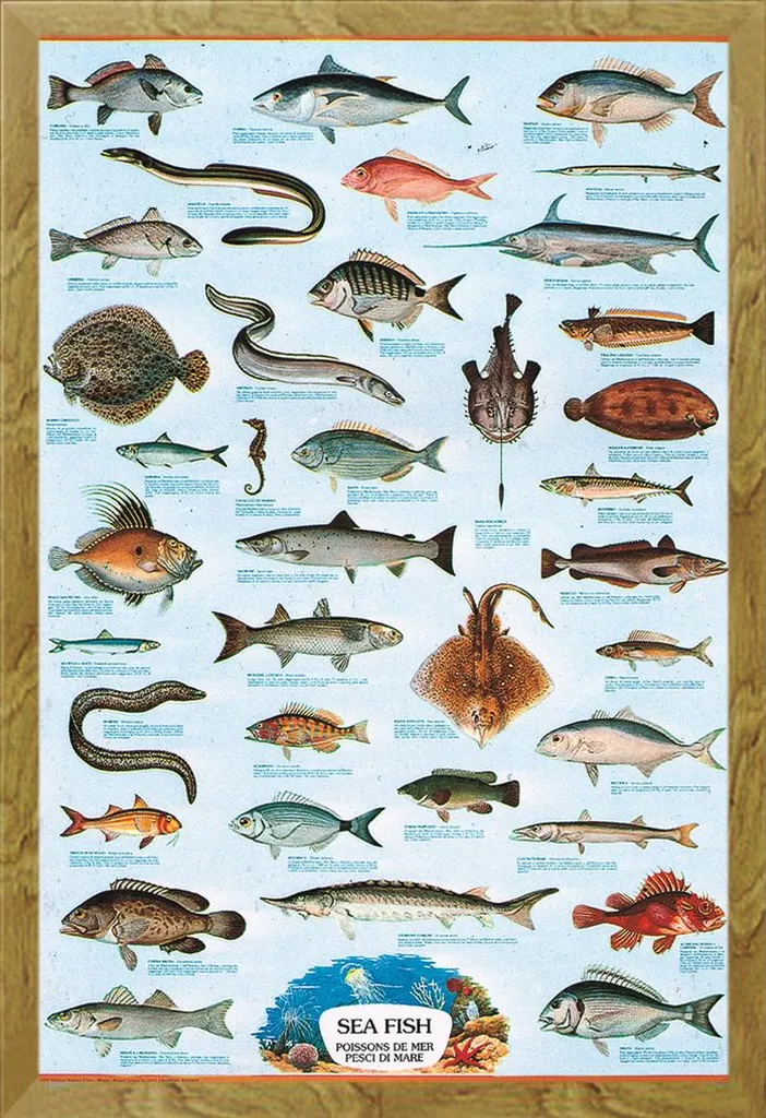 Poster Di Animali Marini Con Design Ad Acquerello. Foglio Di Balene Stampato Con Consistenza Dell Acquerello A 88978225