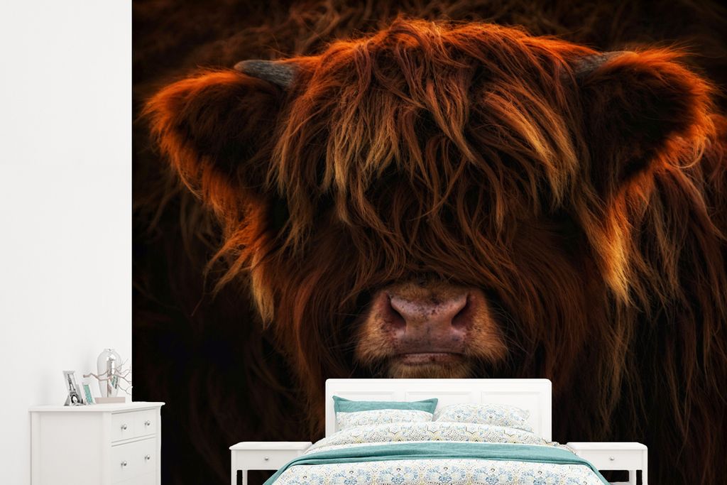 MuchoWow Fototapete für Wohnzimmer oder Schlafzimmer Wandtapete Vinyl Motivtapete Schottischer Highlander - Kuh - Schwarz - Porträt - 265x240 c...
