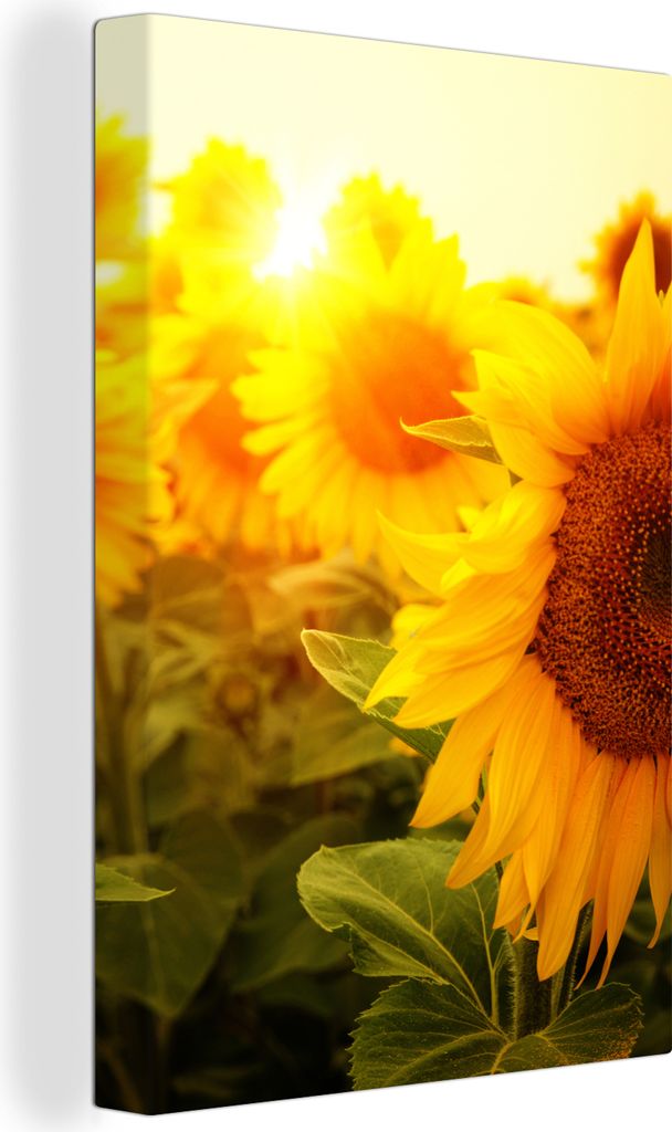 OneMillionCanvasses - Leinwandbilder - 90x140 cm, Sonnenblume - Gelb - Blumen - Sonne, Wandbilder Kunstdruck Wanddekoration - Foto auf Leinwand -...
