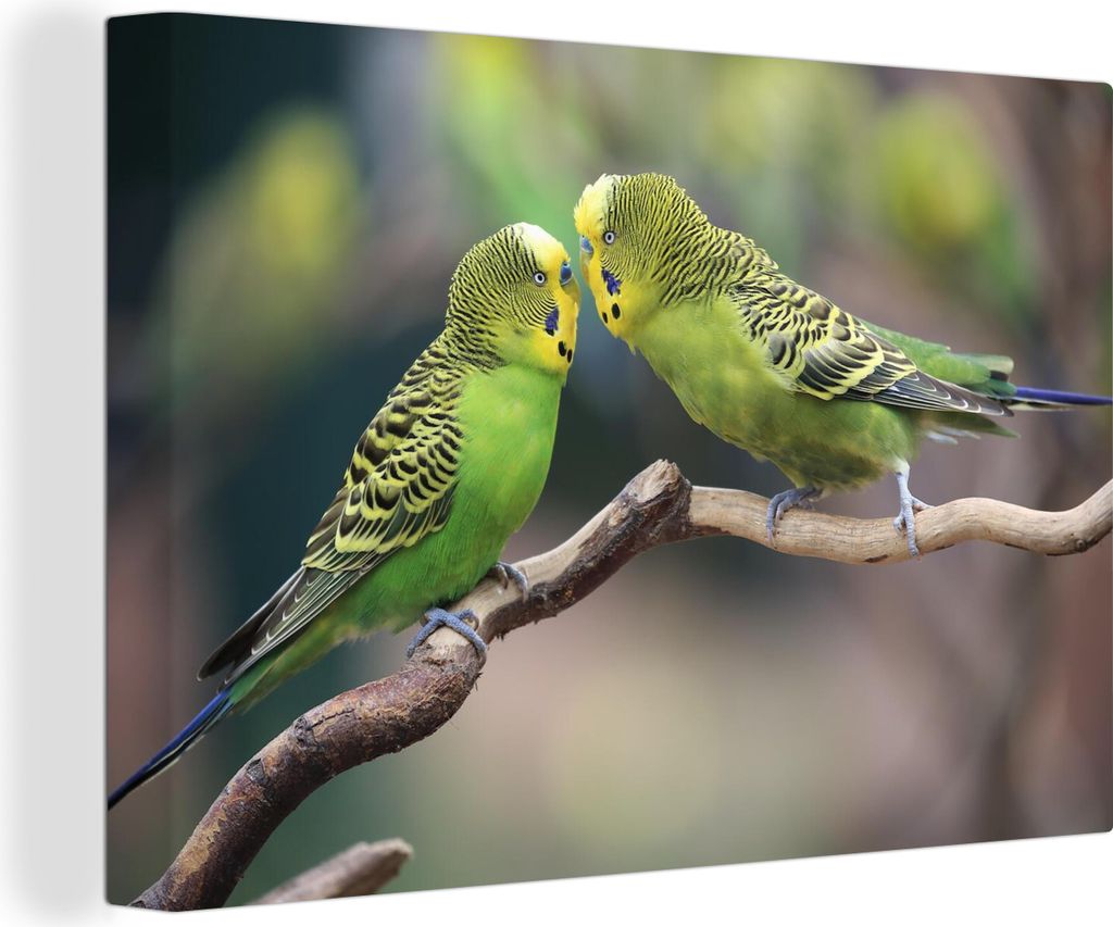 OneMillionCanvasses - Leinwandbilder - 140x90 cm, Zwei grüne und gelbe Sittiche sitzen auf einem gekräuselten Ast, Wandbilder Kunstdruck Wandde...