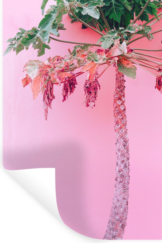 MuchoWow Wandtattoo Wandsticker Wandaufkleber Palme - Tropisch - Rosa - Sommer 40x60 cm Selbstklebend und Repositionierbar - Wierderverwendbar - ...