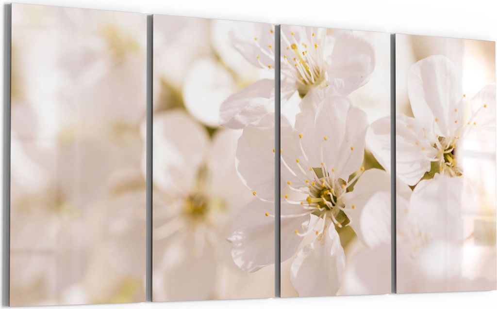 DEQORI Glasbild Echtglas 4x30x60 cm 'Geöffnete Kirschblüten' Wandbilder XXL groß