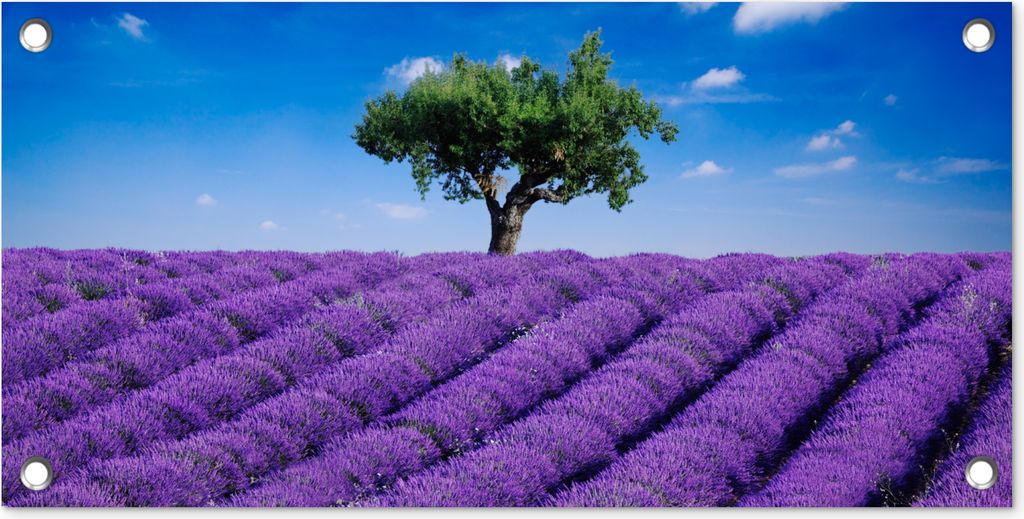 MuchoWow 60x30 cm Outdoor-Poster Gartendeko Sichtschutz Garten Poster für den Garten Eine Nahaufnahme eines Lavendelfeldes