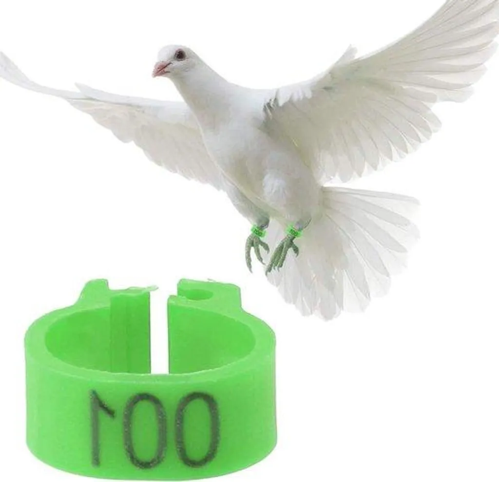 Bagues oiseaux 8mm numérotées 001-100 en plastique avec rubans colorés