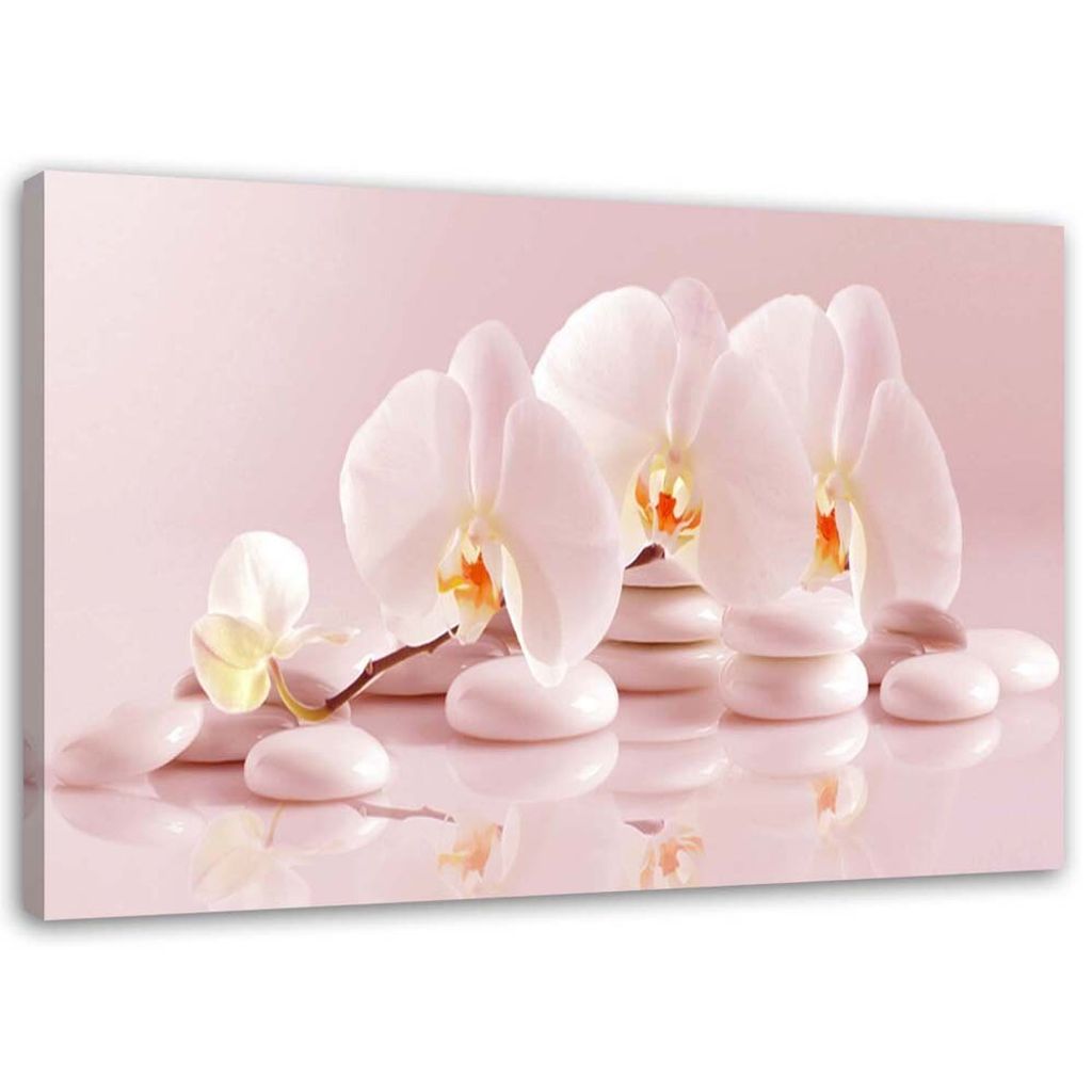 Leinwandbild zen-orchideen in puderrosa 60x40 cm Feeby rosa wandbild bereit zum aufhängen
