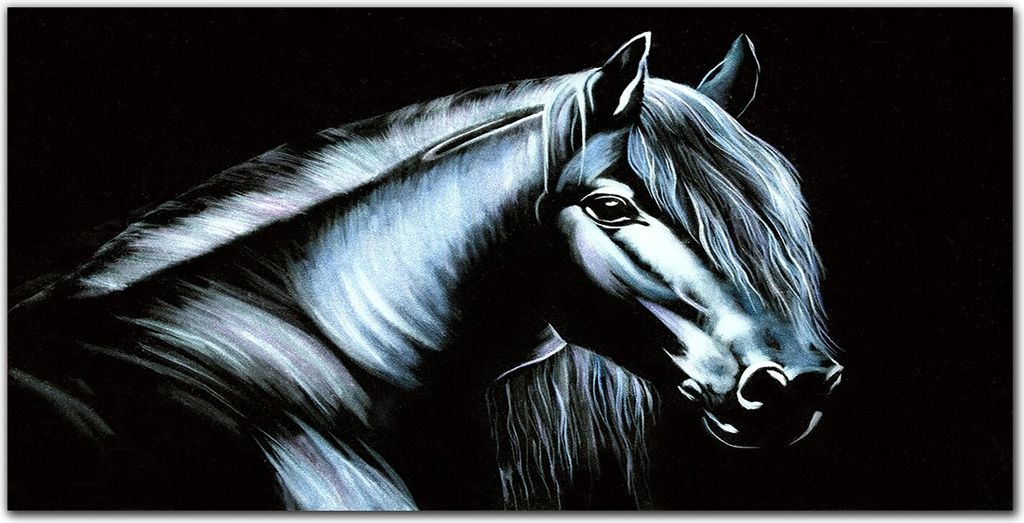 Coloray Bild aus Acryl 140 cm x 70 cm - Wohnzimmer Bild auf Acrylglas Wanddekoration Gehärtetes Acryl Dekoration Küche - Tier Pferd