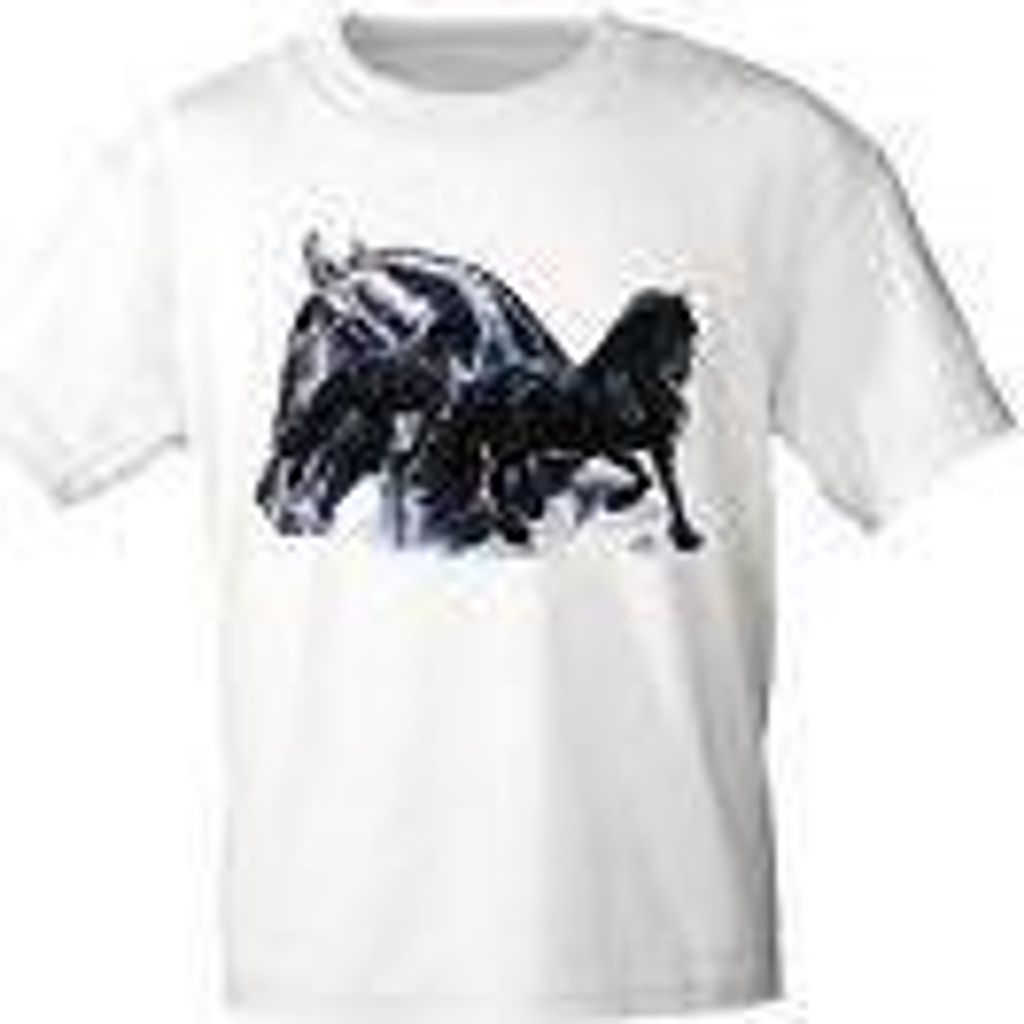 T-Shirt mit Print - Friesen - 09869 weiß - aus der Produktbild 