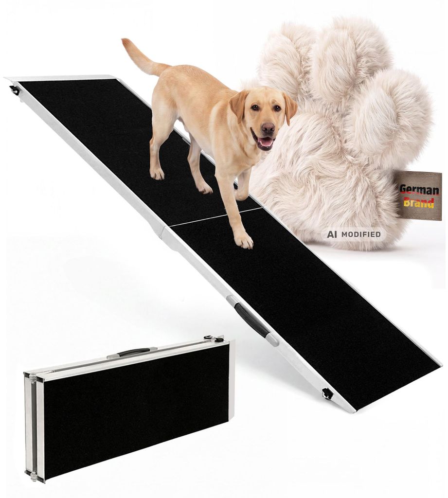 Hund auf Rampe