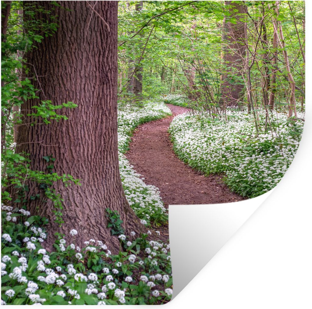 MuchoWow Wandtattoo Wandsticker Wandaufkleber Wald - Weg - Blumen - Weiß 100x100 cm Selbstklebend und Repositionierbar - Wierderverwendbar - Sel...