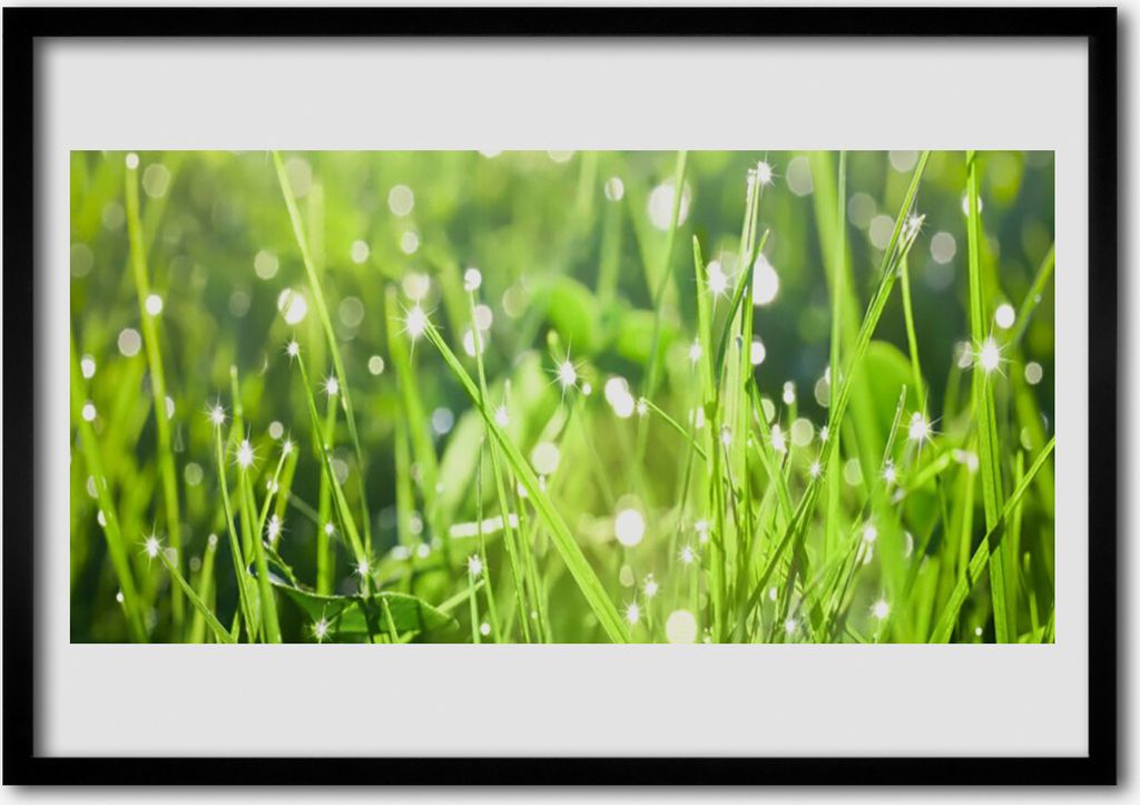 Bild 100x70 MDF-Rahmen Wandkunst Gras Natur Pflanze Produktbild 