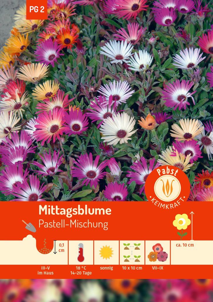 Artikelbild 1 von 'Mittagsblume Pastell-Mischung' aus der Kategorie Blumensamenmischung