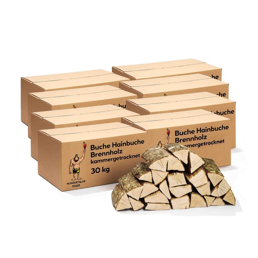 Neandertaler Feuer Brennholz Buche Kaminholz - Buchenholz Grillholz 25 cm 240 kg | Hartholz Feuerholz | Holz für Grill Kamin Smoker Ofen | Firewood