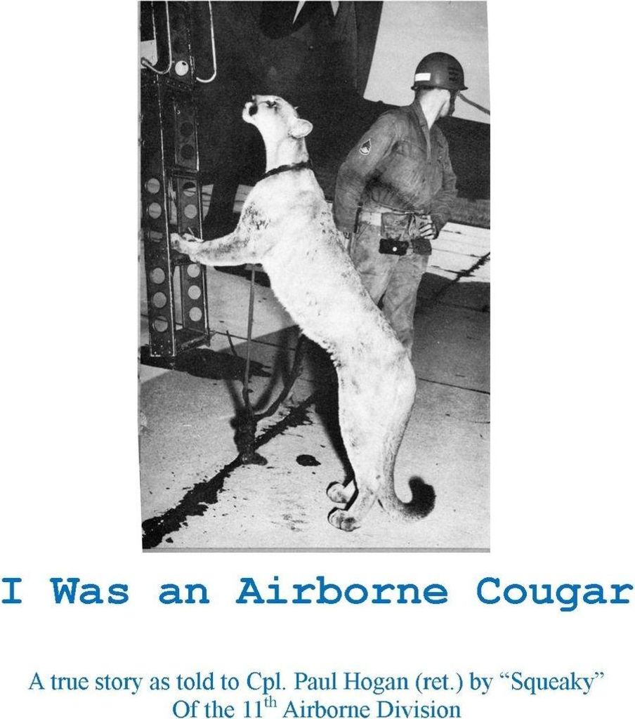 I Was An Airborne Cougar
