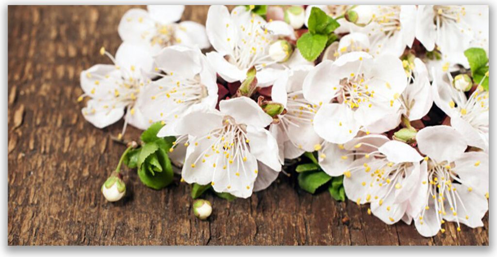 Küchenrückwand aus Glas 140x70cm Spritzschutz Blumen Pflanzen