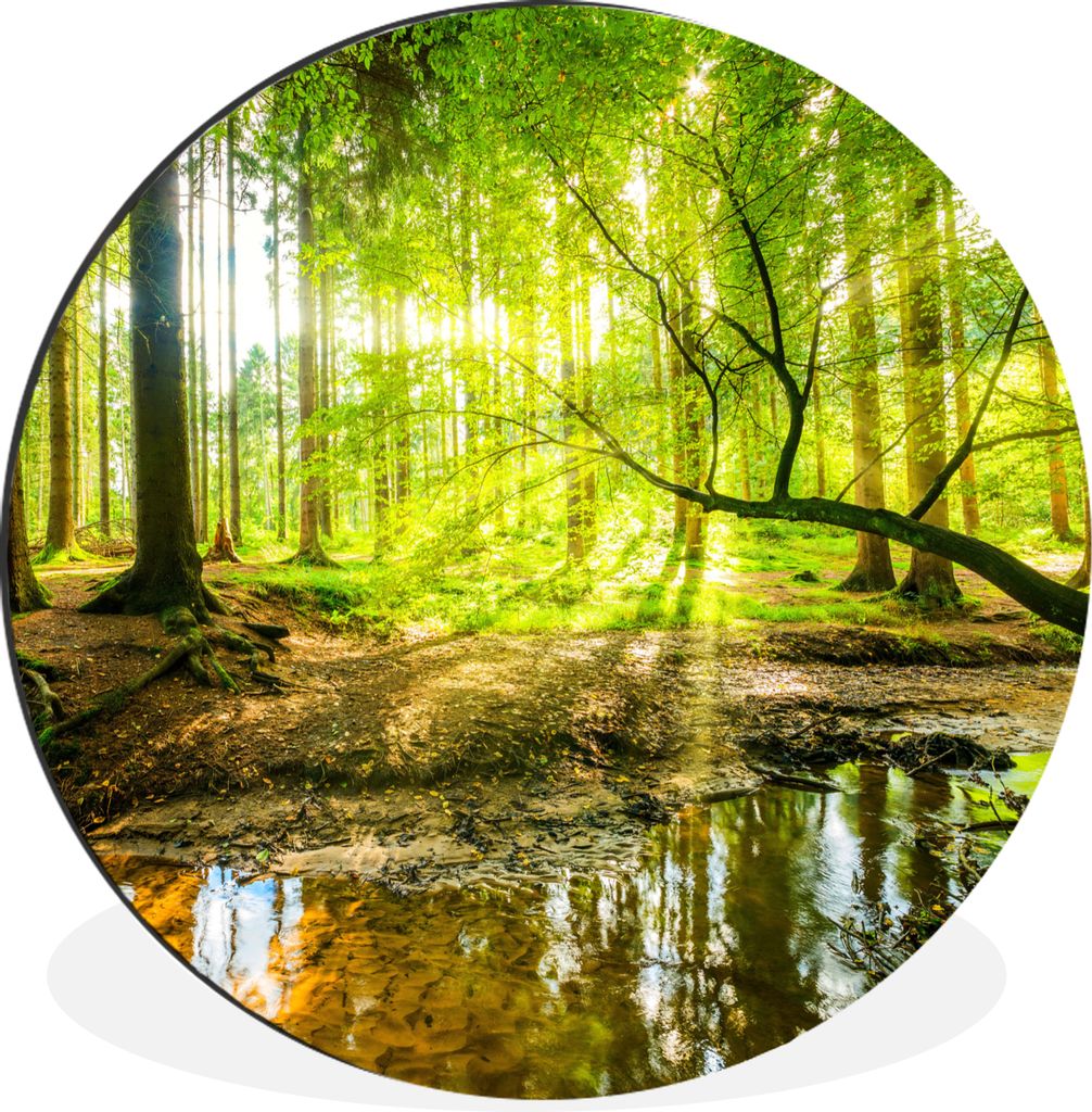 MuchoWow Aluminium Wandkreis Wald - Landschaft - Wasser - Bäume - Sonne - Grün - Natur Ø 90 cm Wanddeko Modern Wohnzimmer - Mauerkreis - Wandb...