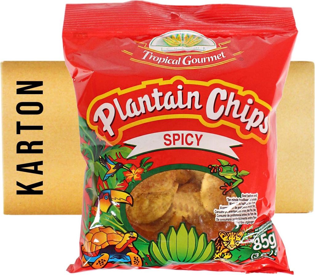 TG Plantain Kochbananen Chips spicy 20x85g