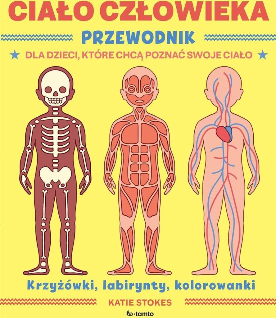 Ciało Człowieka