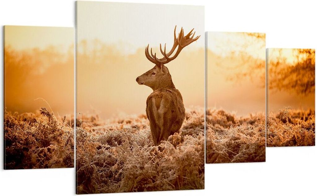 Bild auf Leinwand - Leinwandbild - Hirsch Natur Feld - 160x90cm - Wand Bild - Wanddeko - Wandbilder - Leinwanddruck - Bilder - Kunstdruck - Wanddek...