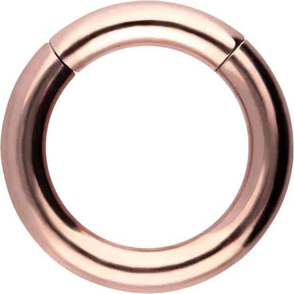 Ohrpiercing, Nasenpiercing, Septum Piercing Titan Segmentring Clicker RoséGold Innendurchmesser: 12mm + Stabstärke: 3mm
