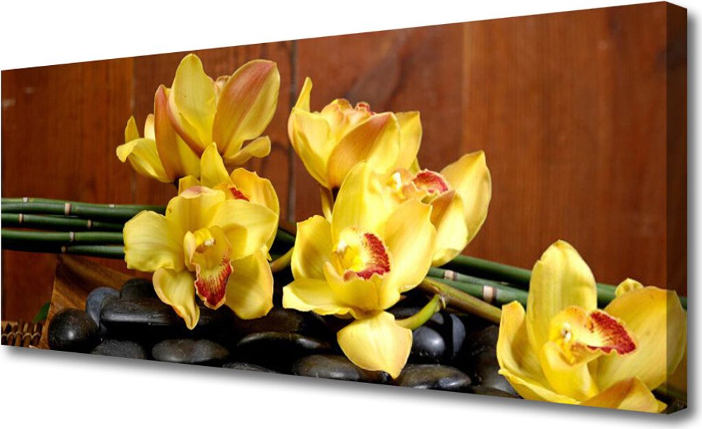 Tulup Leinwand-Bilder 125x50 Wandbild Canvas Kunstdruck Blumen Steine Pflanzen