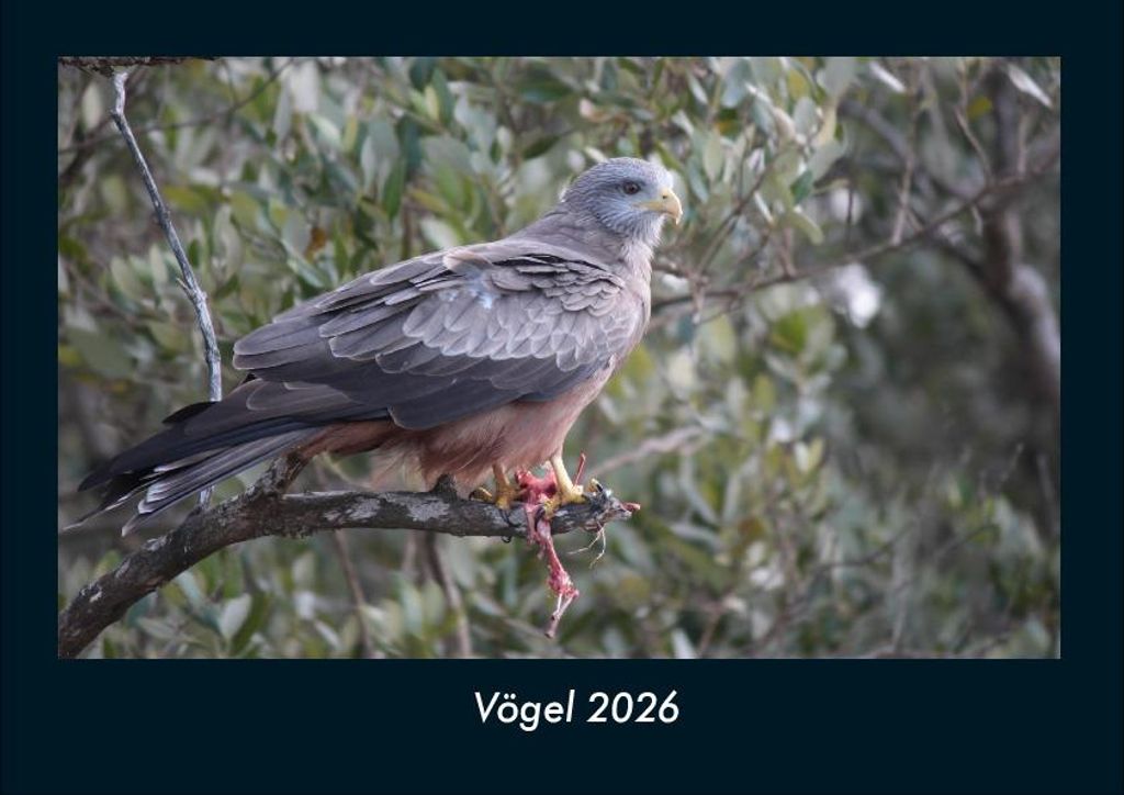 Vögel 2026 Fotokalender - Querformat DIN A4, Monatskalender mit Bild-Motiven von Haustieren, Bauernhof, wilden Tieren und Raubtieren