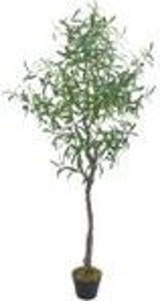 Olivenbaum Olive Künstlich Olivenbusch Kunstbaum Produktbild 