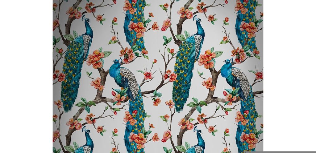 Coloray Fototapete 290x290 cm Vlies-Fototapete - Pfau