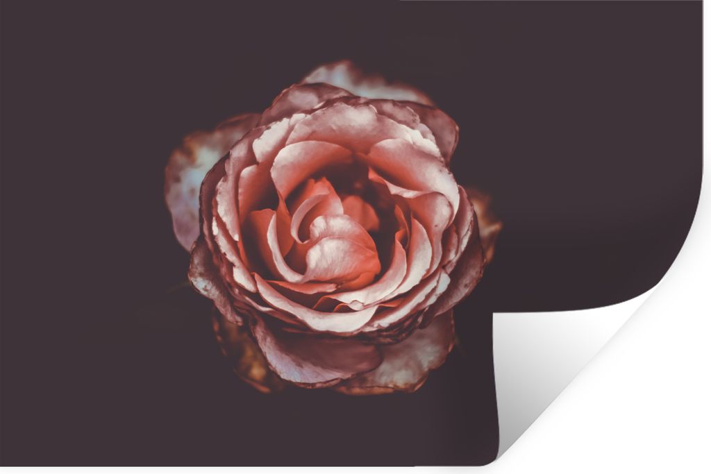 MuchoWow - Aufkleber