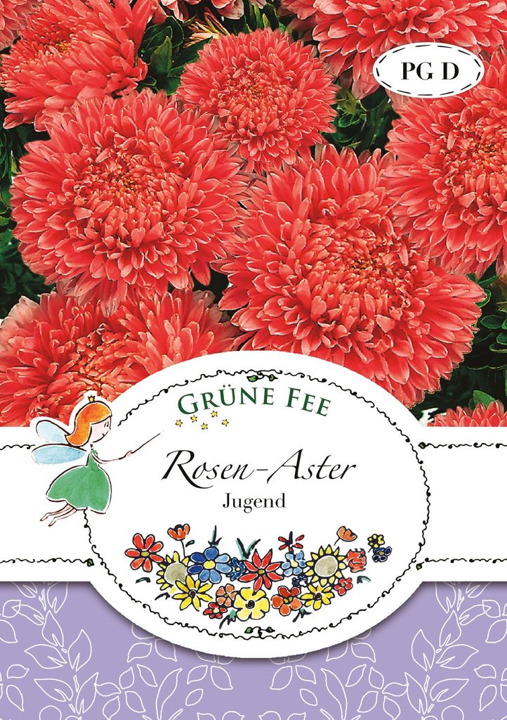 Grüne Fee - Rosen-Aster Jugend Samen - 13150